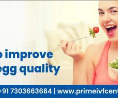 Foods to improve female egg quality - Prime IVF