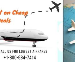 Search Cheap Flights to Tokyo and Miami