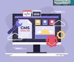 Unlocking Possibilities: WordPress CMS Customization Explained