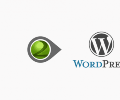 The Quickest & Easiest Way To Drupal To WordPress Theme!