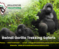 Bwindi Forest National Park Uganda - Africa Adventure Vacations