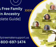 Make A Free Family Tree In Ancestry.