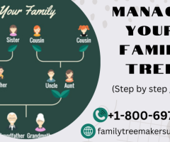Best Tips To Manage Your Family Tree