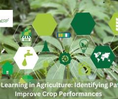 Machine Learning in Agriculture: Identifying Patterns to Improve Crop Performances