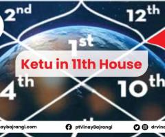 House of Profit in Kundli - Ketu in Eleventh House