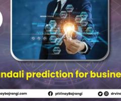Kundli Prediction for Business  -  Vedic Astrologer