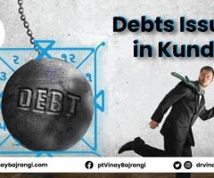 Debts Issues in Kundli - Vedic Astrologer