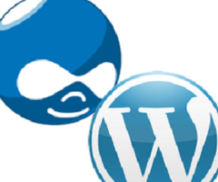Get The Most Out of Your Drupal To WordPress Conversion!