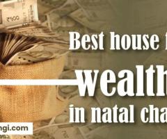 Best house for wealth  in natal chart