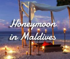 Maldives Tour Planner