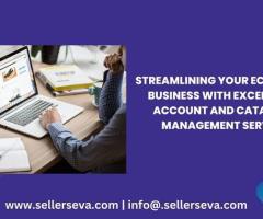 Ecommerce Account Management Services - Seller Seva