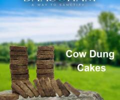 Use Of Cow Dung Cake  In Delhi