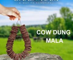 Cow Dung Patties  In Uttar Pradesh