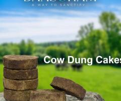 Fresh Cow Dung Cake