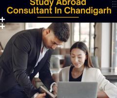 Study Abroad Consultant In Chandigarh