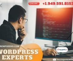 Need Expertise? Hire a WordPress Developer Now!