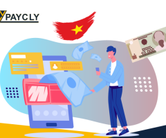 Streamlined Online Payment Solutions for Vietnam
