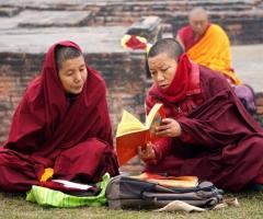 Buddhist Tour Planner in India