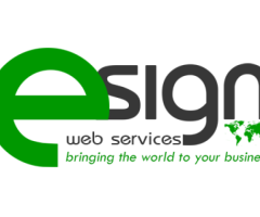 From Rankings to Results: Trust eSign Web Services' Journey in SEO Excellence